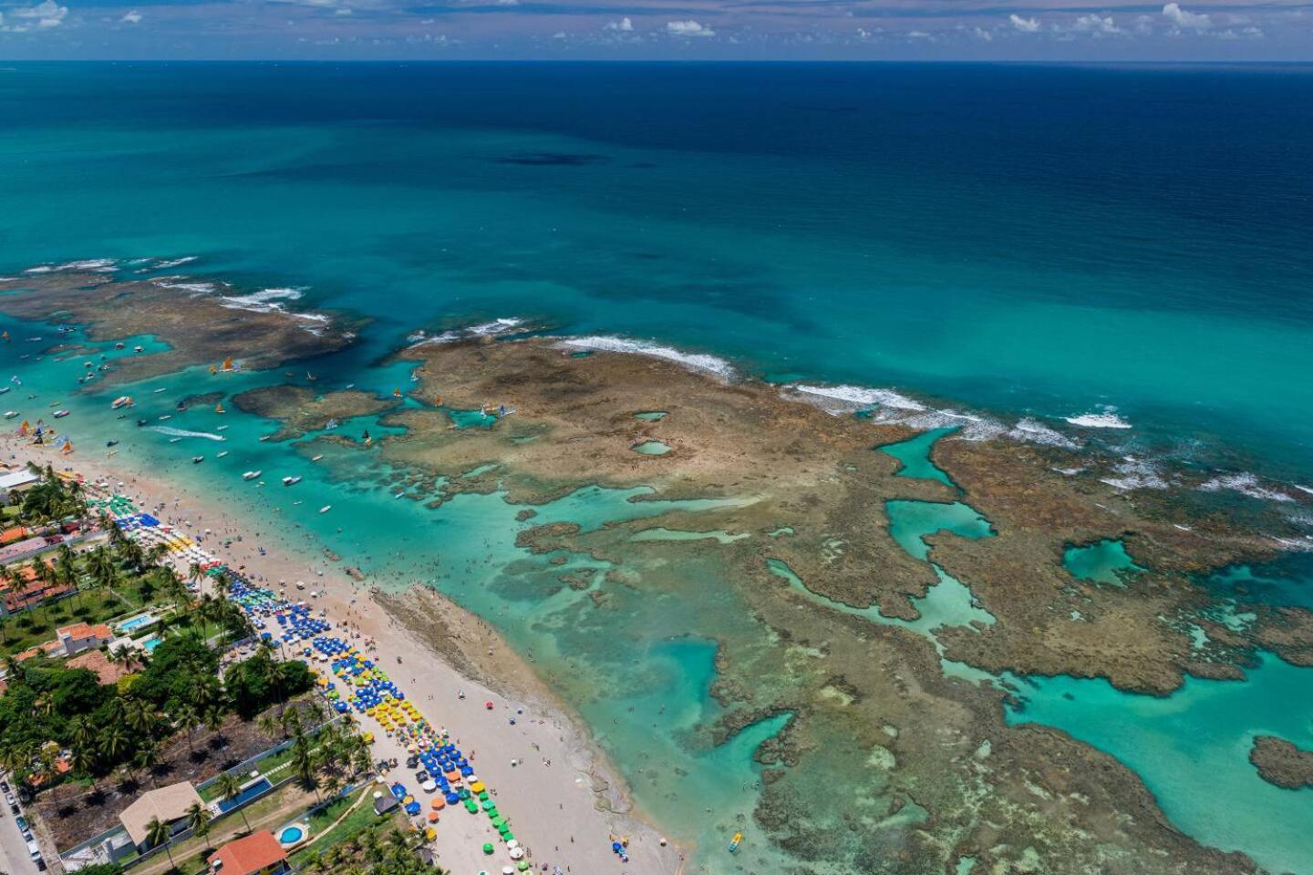 Studio Em Porto De Galinhas - Vista P Piscina 外观 照片